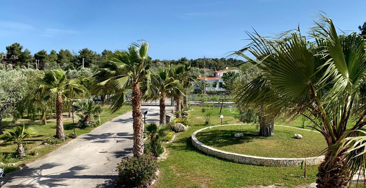 Villa Angela Case Vacanza Vieste Exterior photo