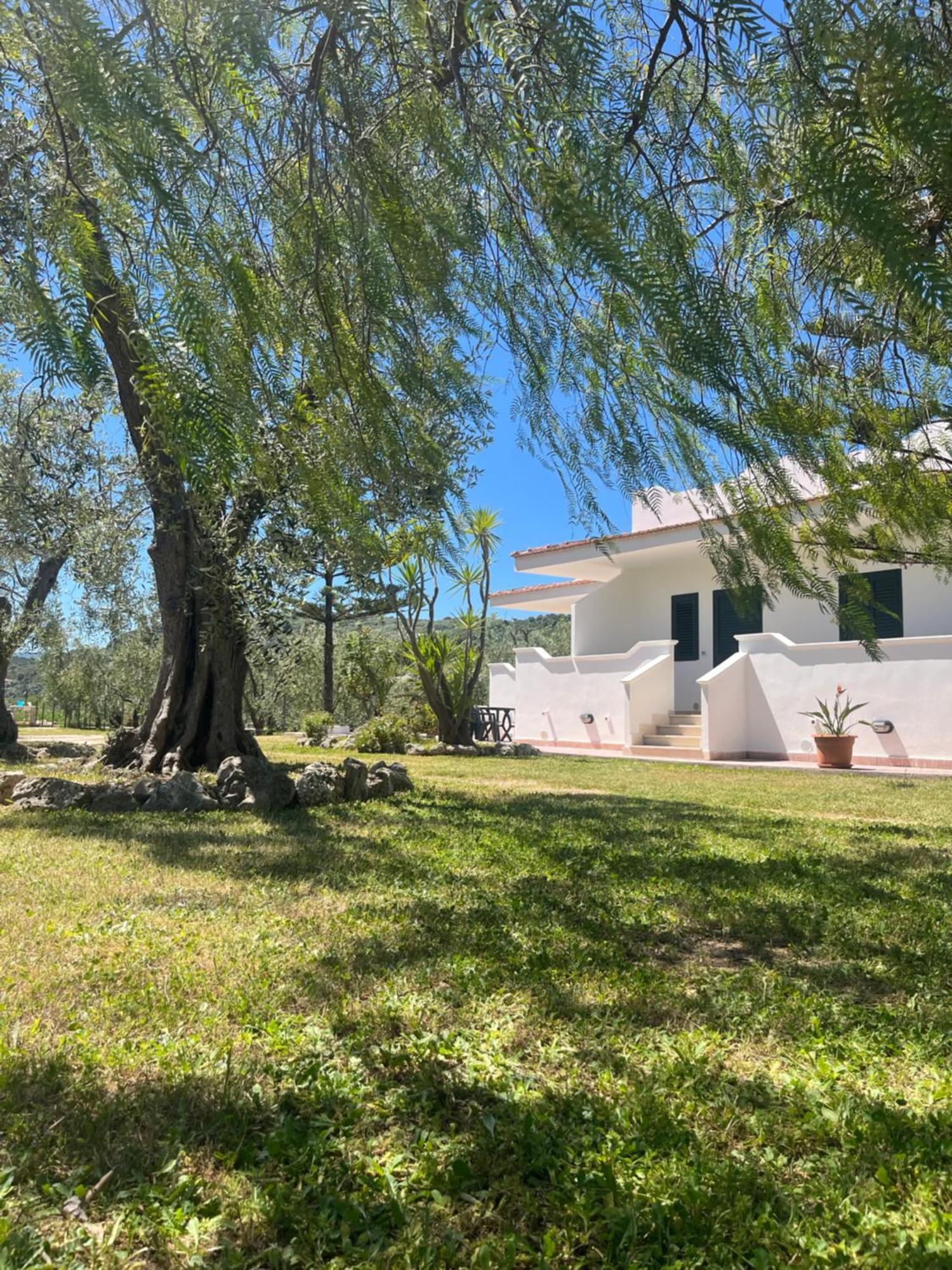 Villa Angela Case Vacanza Vieste Exterior photo